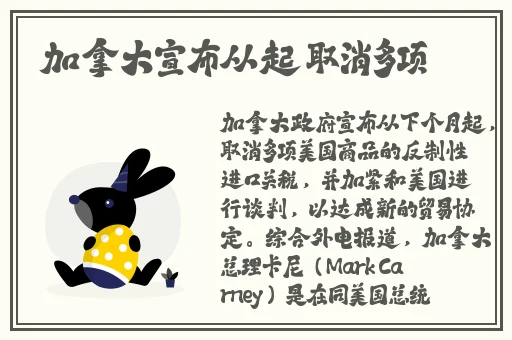 老妇人70plus