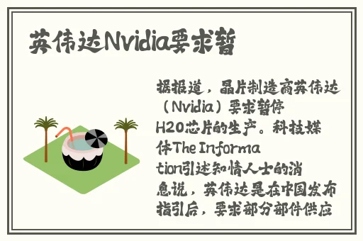 沈阳老阿姨叫的没谁了
